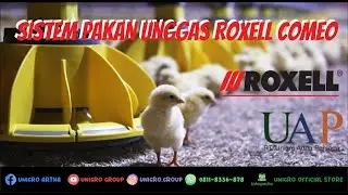 Sistem pakan unggas Roxell CoMeo