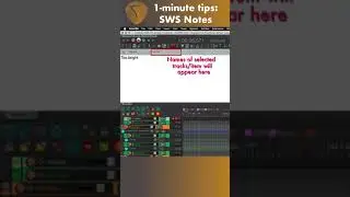 1-min REAPER Tips: Taking Notes with SWS | #shorts