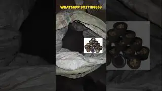 black sambrani cup premix | sambrani cup raw material | sambrani cup machine