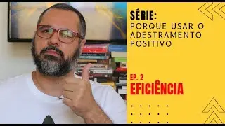 Adestramento Positivo: a melhor maneira de adestrar seu cachorro