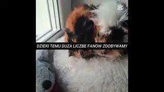 Film został stworzony w celach humorystycznych #music #butifyoucloseyoureyes #robloxedit