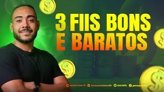 3 FIIS BONS E BARATOS