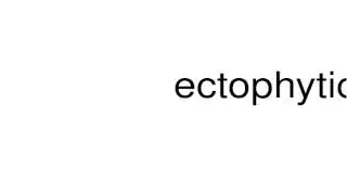 How to pronounce ectophytic