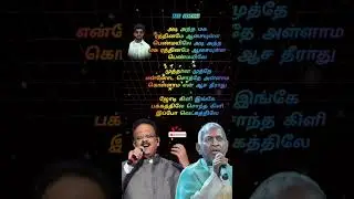 ஜோடி கிளி எங்கே #love #ytshorts #lovesongs #romanticsongs #ytstudio #trending    #80smusic #spb
