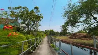 4K Bang Krachao (Bang Kachao) Bangkok - POV Cycling through urban jungle (