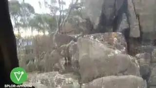 Secret Hut