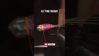 Peach Bomb | Fly Tying Shorts | #flytying #FlyFishing #FlyTyingTutorial