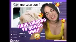 Staryuuki😍😍 |REACCIONA a MEMES RANDOM😈 23/06/2020
