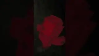 Kid Runs Head First In To A Wall (Penbrook Plays Embuscade Preview)
