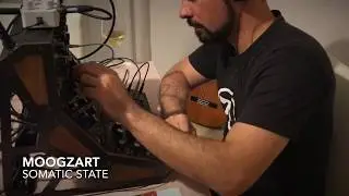 Moogzart - Somatic State - Moog Mother 32 / Moog DFAM