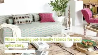 Suggestions for Planning a Family  and Pet friendly Space