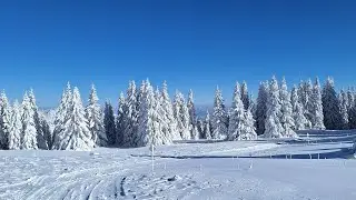 Kopaonik 2026 Prvo skijanje (Jaram staza 11)