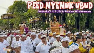 Getarkan UBUD‼️ & Pukau Wisatawan🔥👍 | Prosesi NYENUK Karya Agung Pura Dalem Puri Peliatan