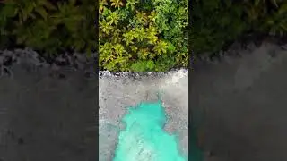 Amazing Beach Video | #shorts #beachvideo #beach