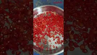Electric Chili Cutter Machine #chilli #spicy #machine #food #spicyfood