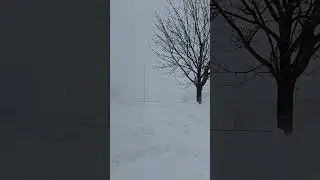 Another winter storm in Montreal within one week ❄️