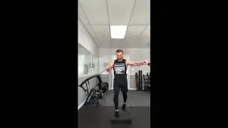 The Integrative Movement System&trade; Approach to Posture and Movement