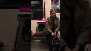 Cat in Backpack Carrier Adventures on the Subway