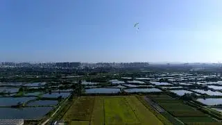 Shenzhen Bluewing Technology Co., Ltd.