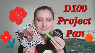 a good month of progress || D100 Project Pan