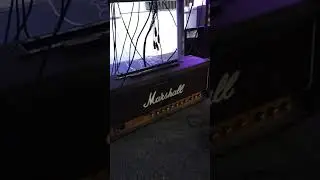 My Guitar Session For Today. Gibson SG into Marshall jcm800. #shorts