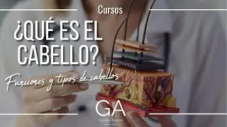 &iquest;Qu&eacute; es el cabello? Funciones y tipos de cabellos