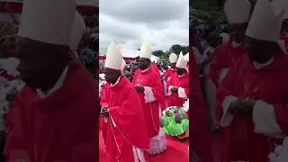 Behold All the Catholic Bishops of Nigeria! #nigeria #catholicchurch