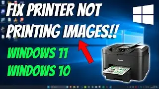 How To Fix Printer Not Printing Images or Photos in Windows 11