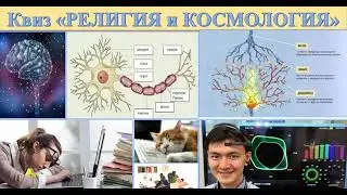 18 Мозговой интернет в дремоте