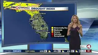 Dry conditions make perfect environment for brush fires