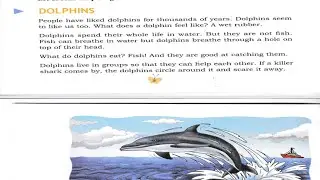 Dolphins🔥D.A.V School🔥Class-3 English Reader🔥Exercise🔥Ques & Ans🔥D.A.V Publication