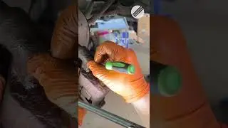 Challenging Brake Job on a Neglected Southern European Car