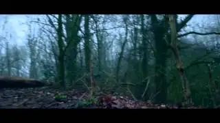 Parallel editting