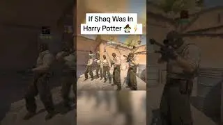 Шак в &laquo;Гарри Поттере&raquo; #harryportter #shaq #funny #memes