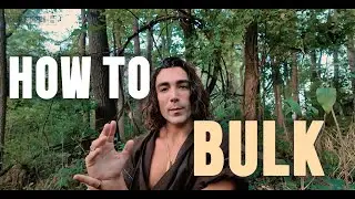 How To Properly Bulk: Nate Belmar