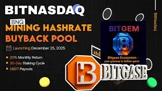 Инструкция по тестовой сети для аирдропа BITGASE и последняя информация о BITNASDAQ.