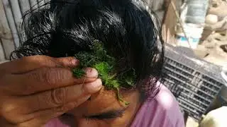 La escobilla para la salida y crecimiento del cabello, te mostramos como se prepara.
