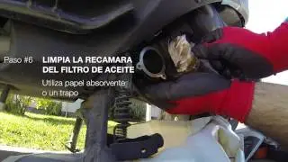 Suzuki  Burgman 400 (L4): Cambio Aceite