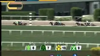 Gulfstream Park Race 9 Carry Back (G3) | July 5, 2015