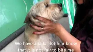 Unpredictable cairn