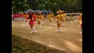 DSSF BAND 2009-2010