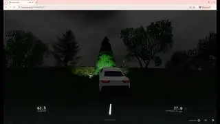 Mr. Sleepy Cat drives at night in slowroads.io