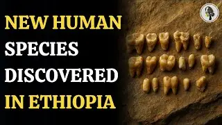 New Human Ancestor Discovered in Ethiopia | Mysterious Teeth Fossils Explained | WION Podcast