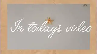 ഒരു Mini Vlog🌷🤗#irene and esther vlogs