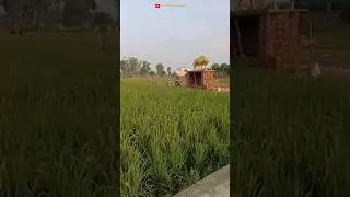 Chamar Regiment Attitude Status Warrior Indian Army Soldier WW2 World War win Japan Kohima #Jaibhim
