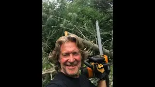 Валерий Бочков. Гражданское сопротивление в США родит Чёрных Пантер. Так уже было. И так будет