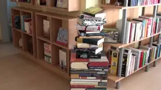 Meine B&uuml;cherregale September 2010