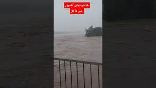 Lahore flood news today. Ravi River flood. #shorts #short #flood2025