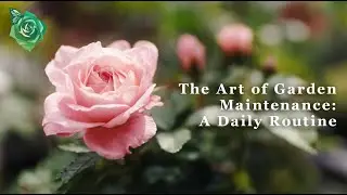 The Art of Garden Maintenance: A Daily Routine