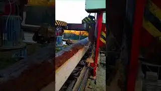 Amazing Fastest Large Wood Sawmill Machine Working- Woodworking Processing Factory Modern Technology